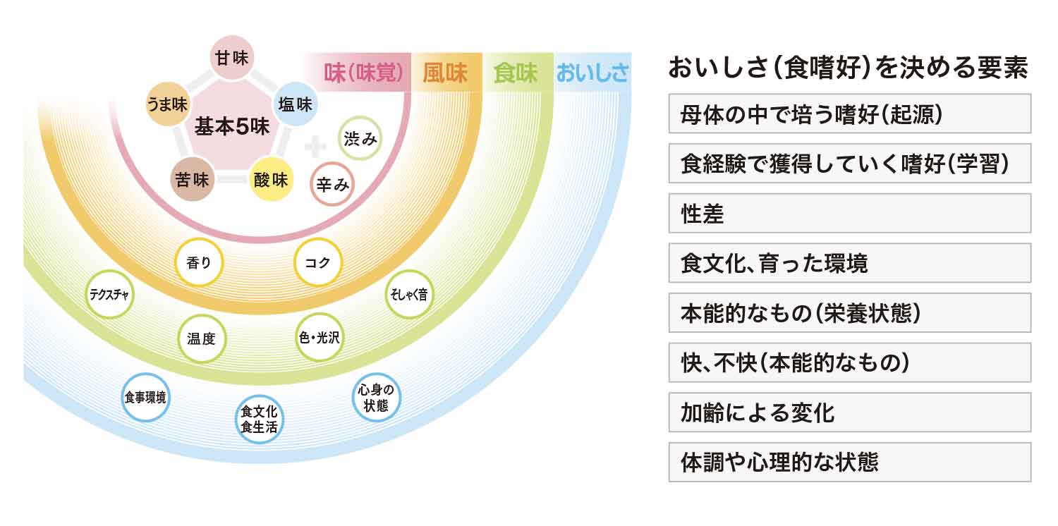 おいしさ（食嗜好）を決める要素